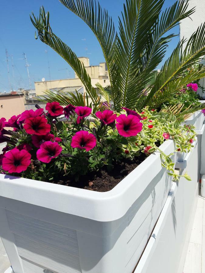Attico Con Terrazza A Bari Διαμέρισμα Εξωτερικό φωτογραφία